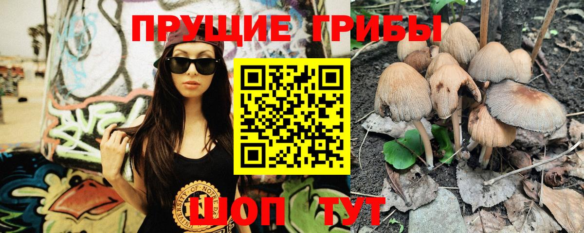 Галлюциногенные грибы мухоморы  где найти наркотики  Нальчик  Вход с VPN 