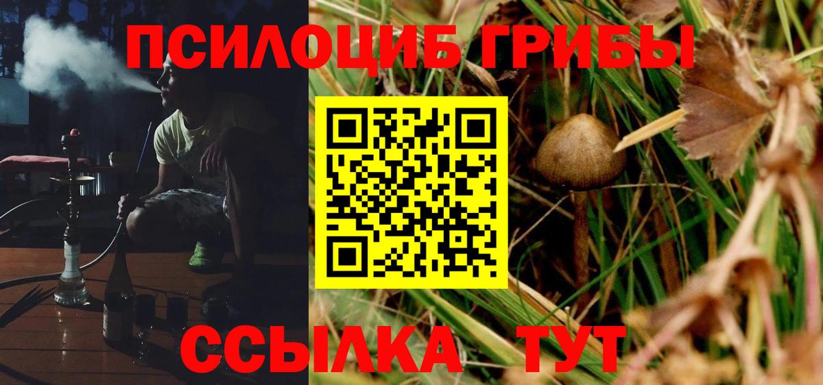 Галлюциногенные грибы MAGIC MUSHROOMS Нальчик